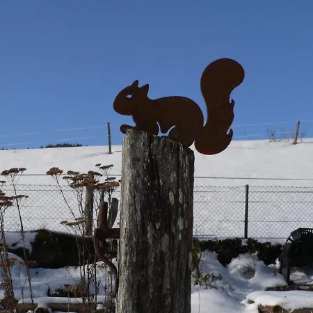 Quiet With Terrace 度假居 科尔巴赫