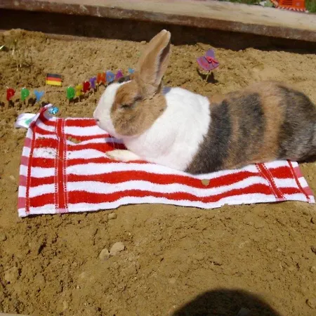 度假居 Quiet With Terrace *