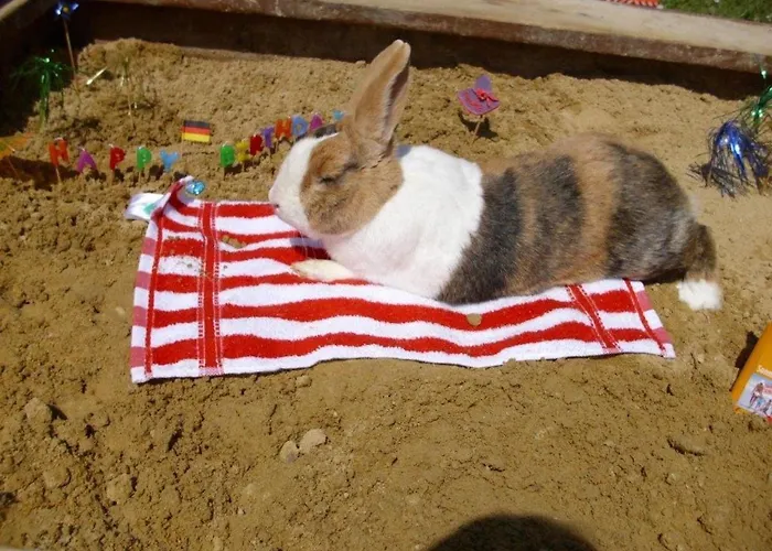 Prázdninový dům Quiet With Terrace *